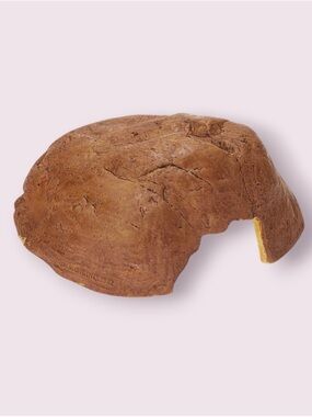 Exo Terra Reptile Cave - Extra Large